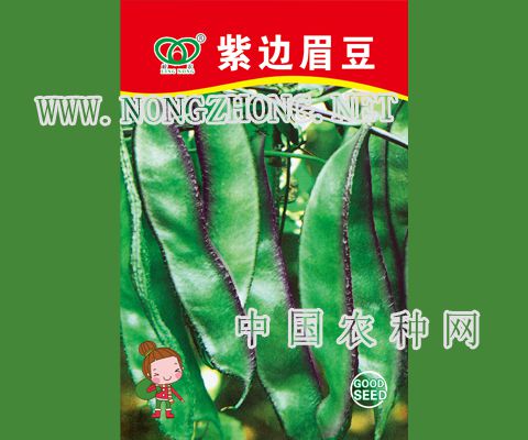 紫边眉豆